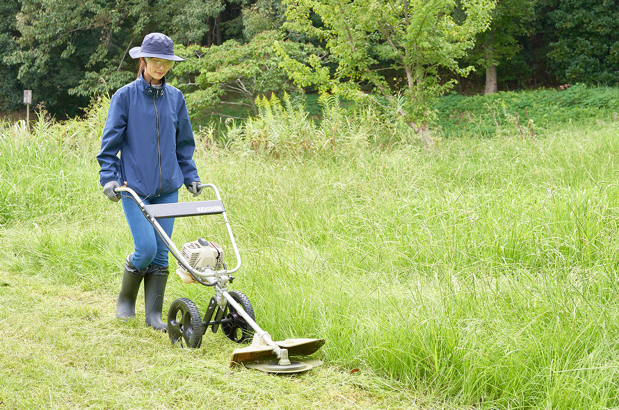 キャリー式イメージ